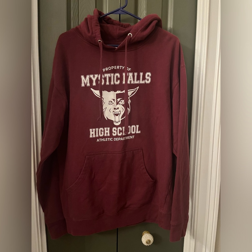 Mystic Falls Hoodie